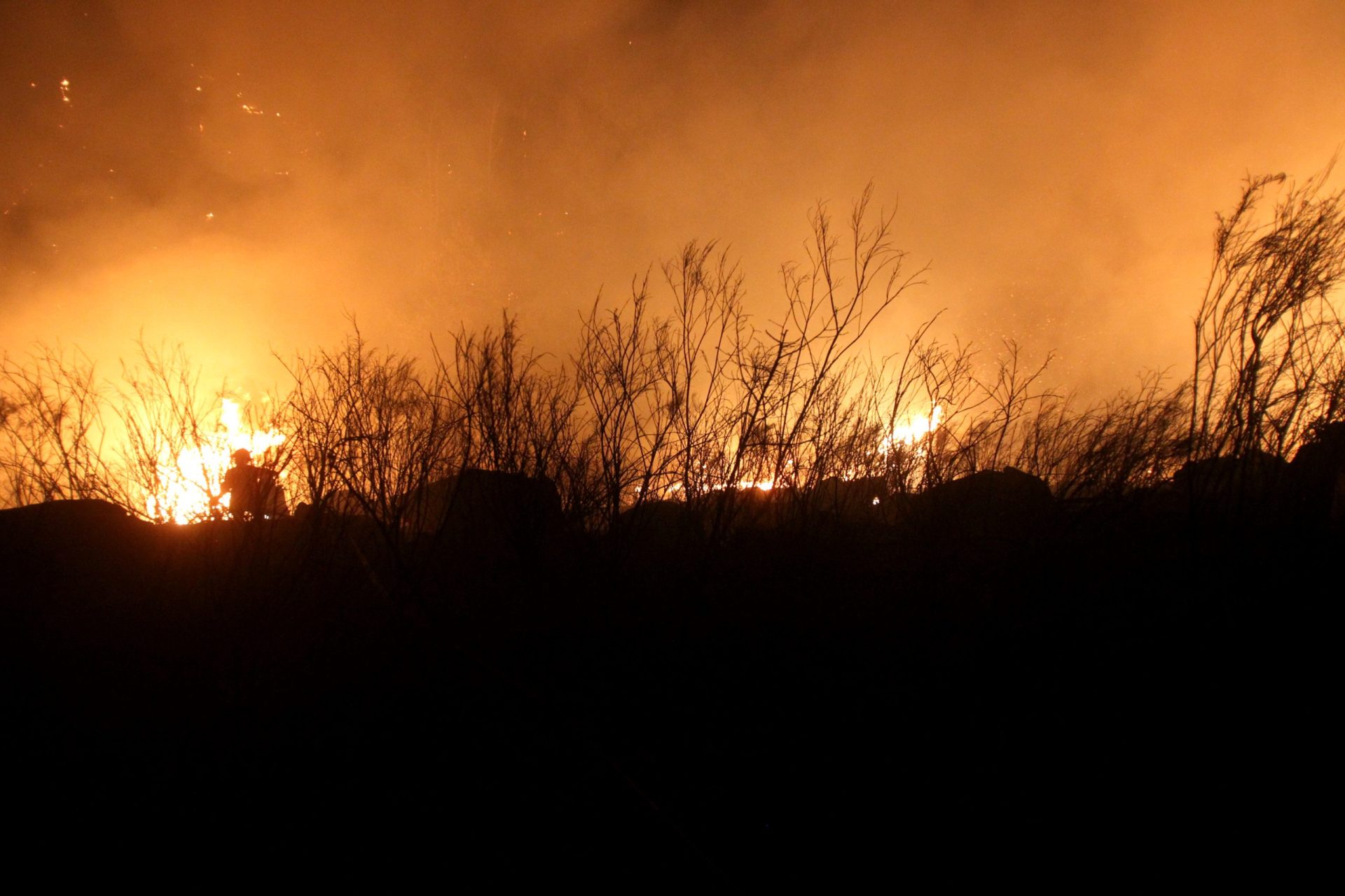 60 bombeiros combatem incêndio de “grande intensidade” em Arouca