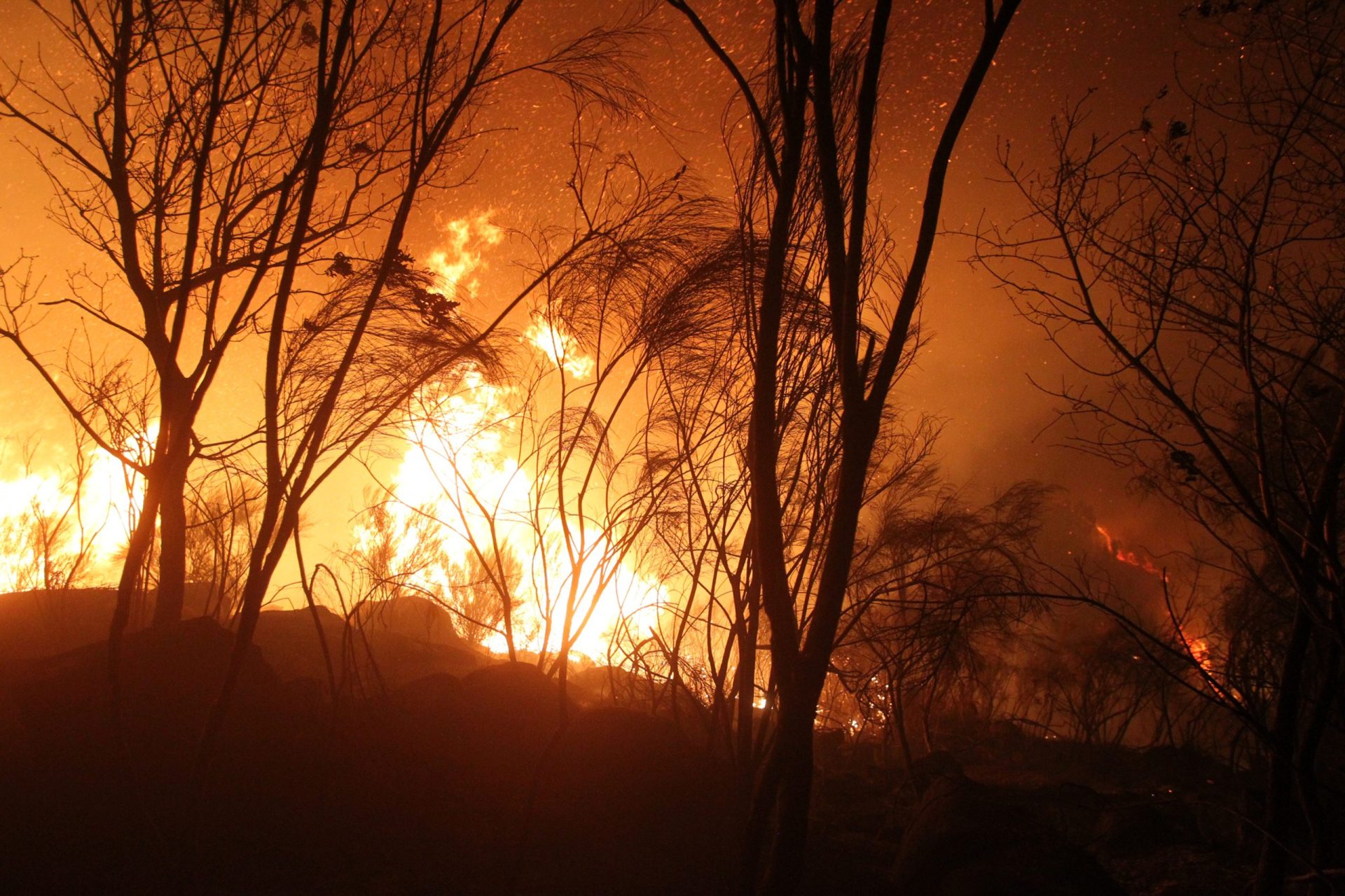 Mais de 40 concelhos em perigo máximo de incêndio rural