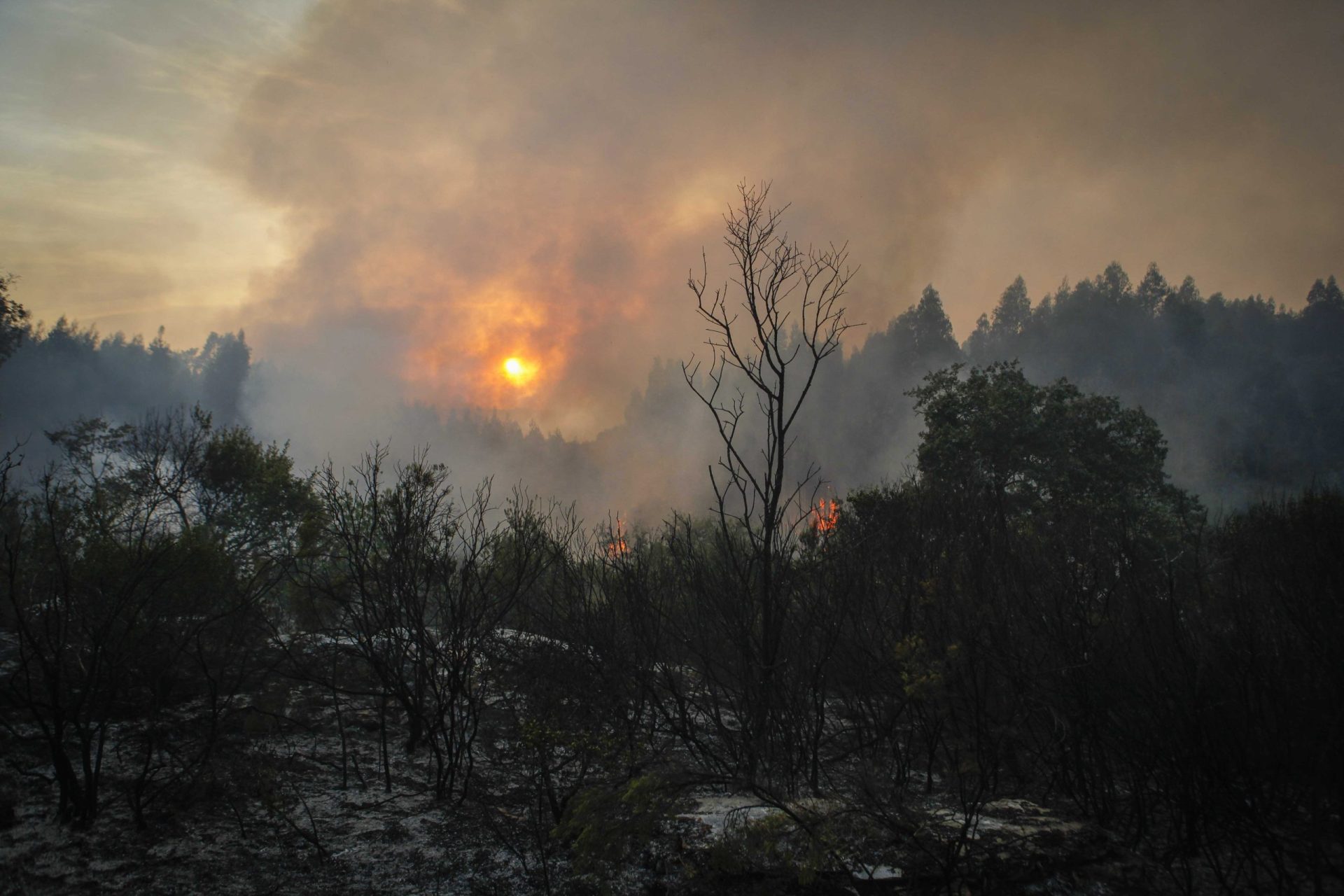 Incêndio em Ponte de Sor ainda ativo