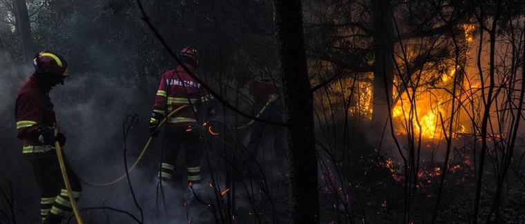 PS ganha câmara de Pedrógão Grande com o autarca que enfrentou o fogo