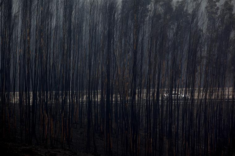 El País compara incêndios na Galiza e em Portugal