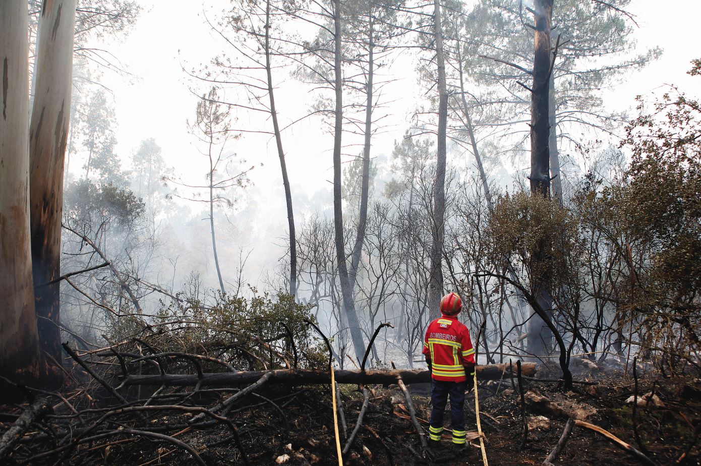 MAI prolonga dispositivo de combate a incêndios até 15 de novembro