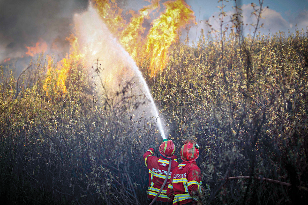 Incêndio no Sabugal. Idoso morreu a fugir das chamas