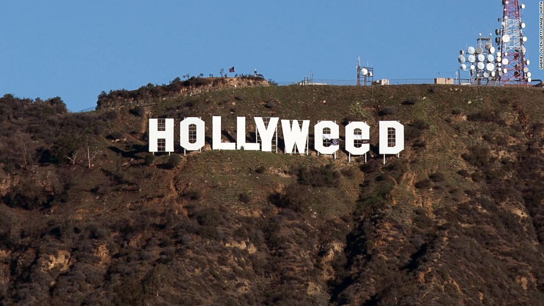 Autor da partida “Hollyweed” foi detido