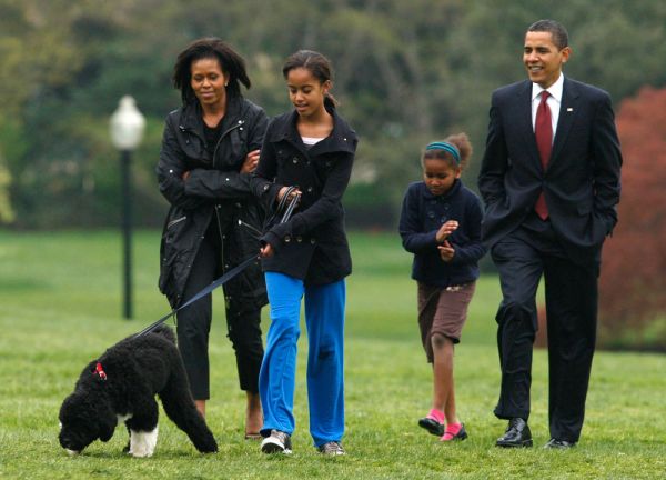 Cadela de Barack Obama morde amiga da família na cara