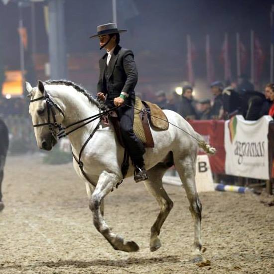 Cavaleiro português morre em acidente de equitação