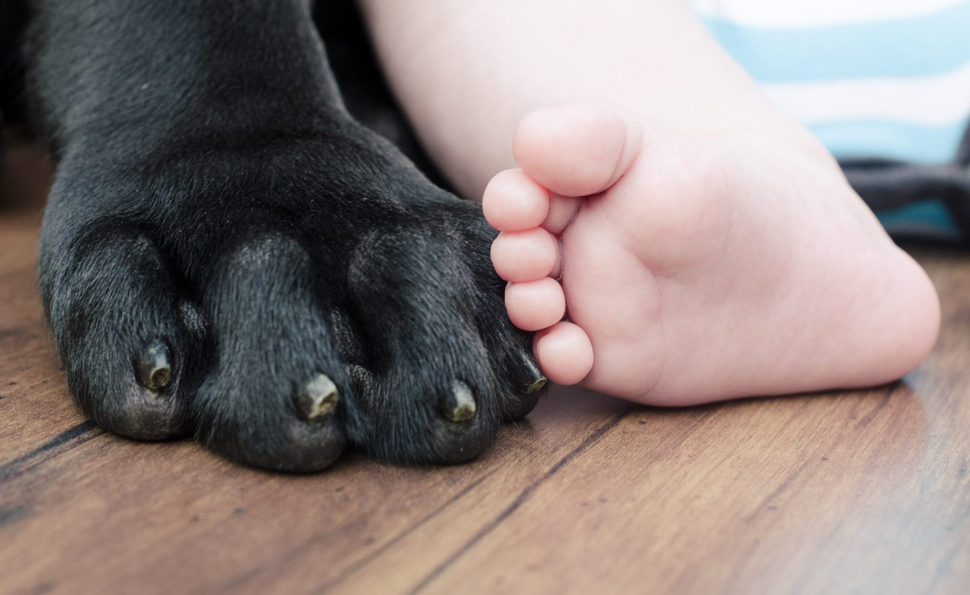 Bebé abandonado ao frio pela mãe sobrevive graças a cão