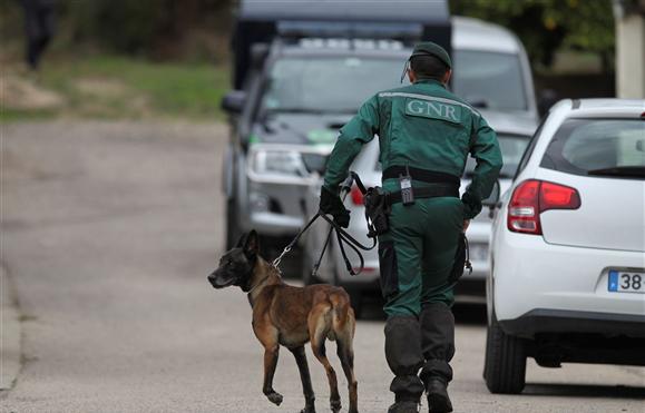 Bombeiros juntam-se a buscas em Ponte de Lima