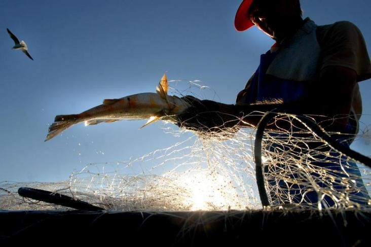 Pescador que caiu ao rio em Penacova está desaparecido