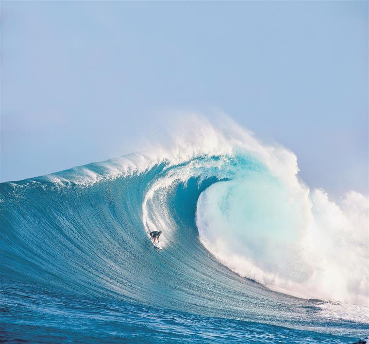 Mick Fanning volta ao surf dois anos após ataque de tubarão