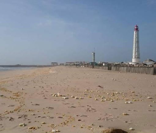 Demolições na ilha do Farol começaram hoje