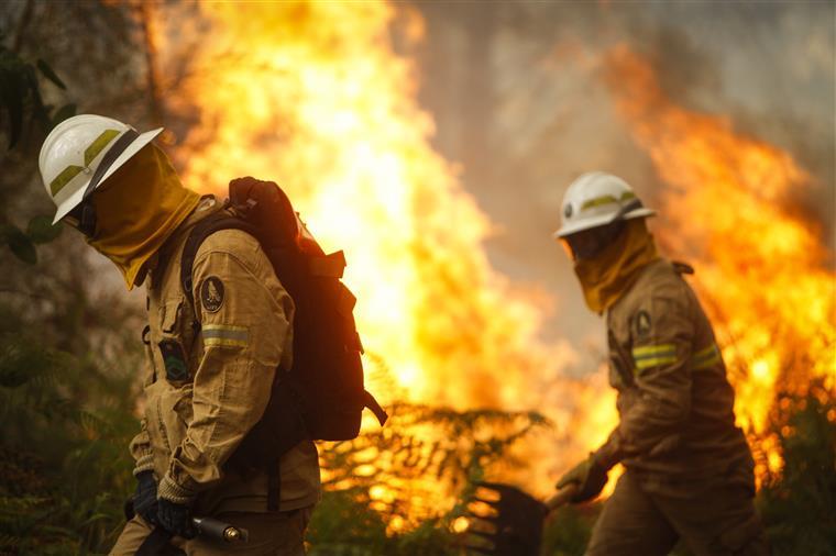 Risco de incêndio muito elevado em treze concelhos