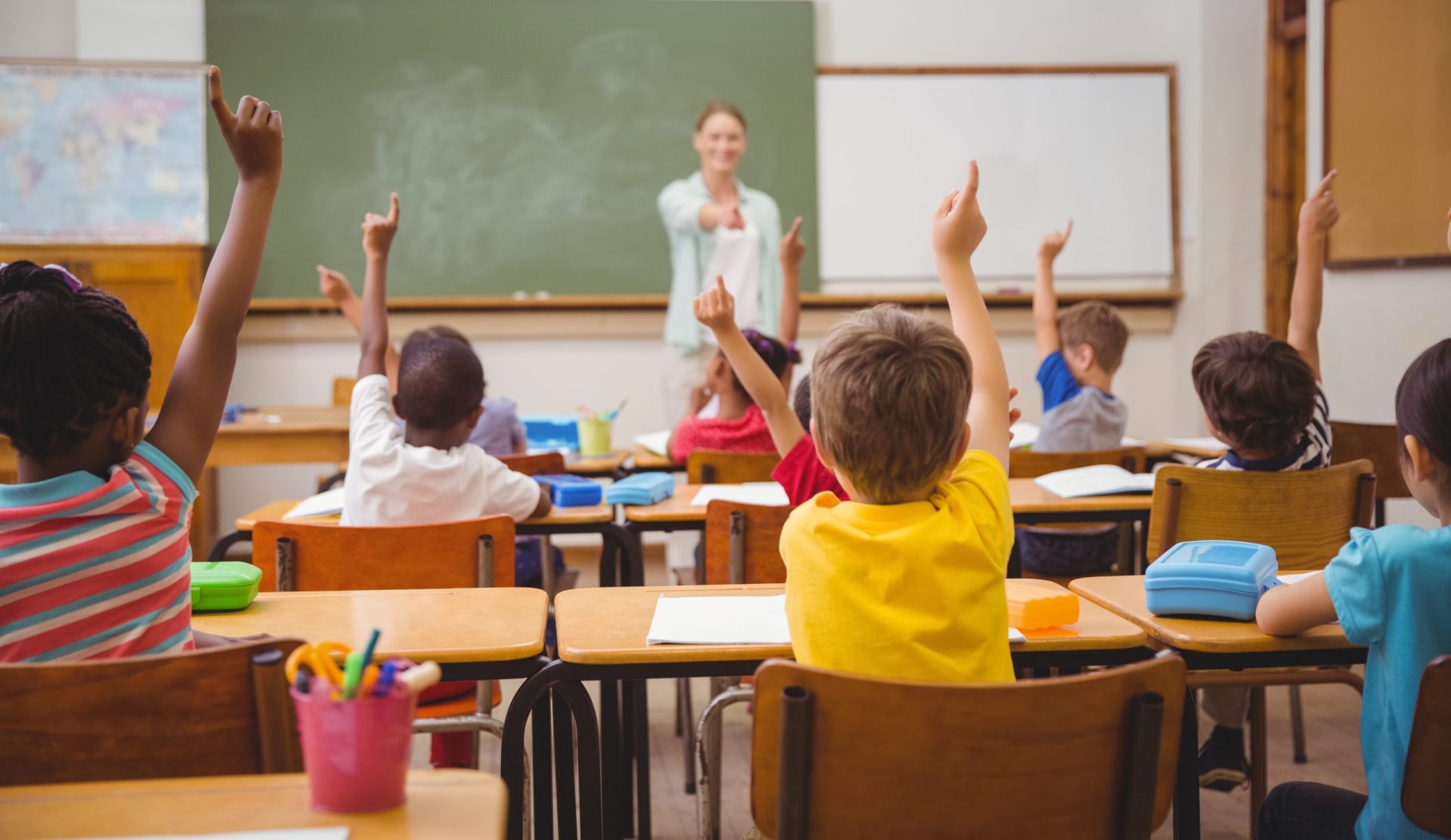 Escola fechada devido a infestação de pulgas