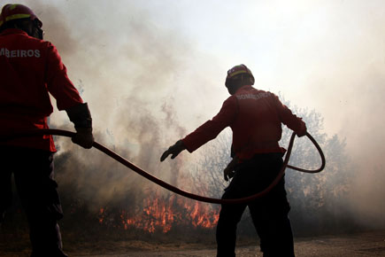 Sever do Vouga. Incêndios em prejuízos de 18 milhões de euros