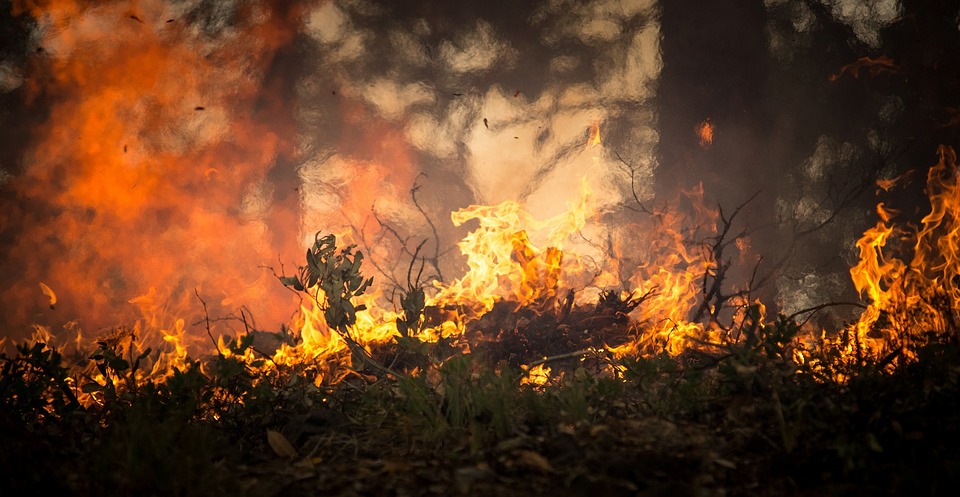 PJ afasta possibilidade de mão criminosa no incêndio de Pedrógão Grande