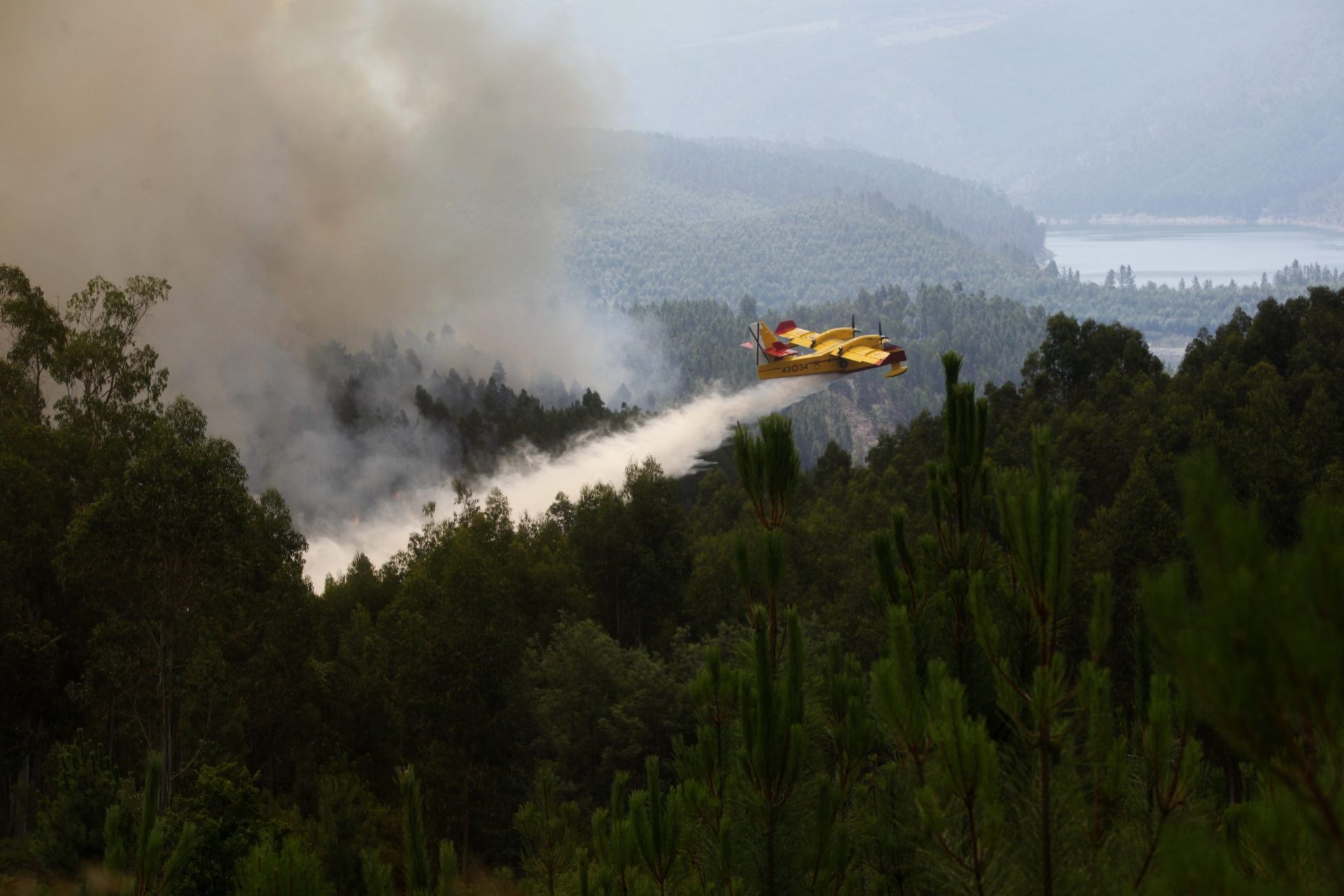 Incêndios. Número de feridos sobe para 204