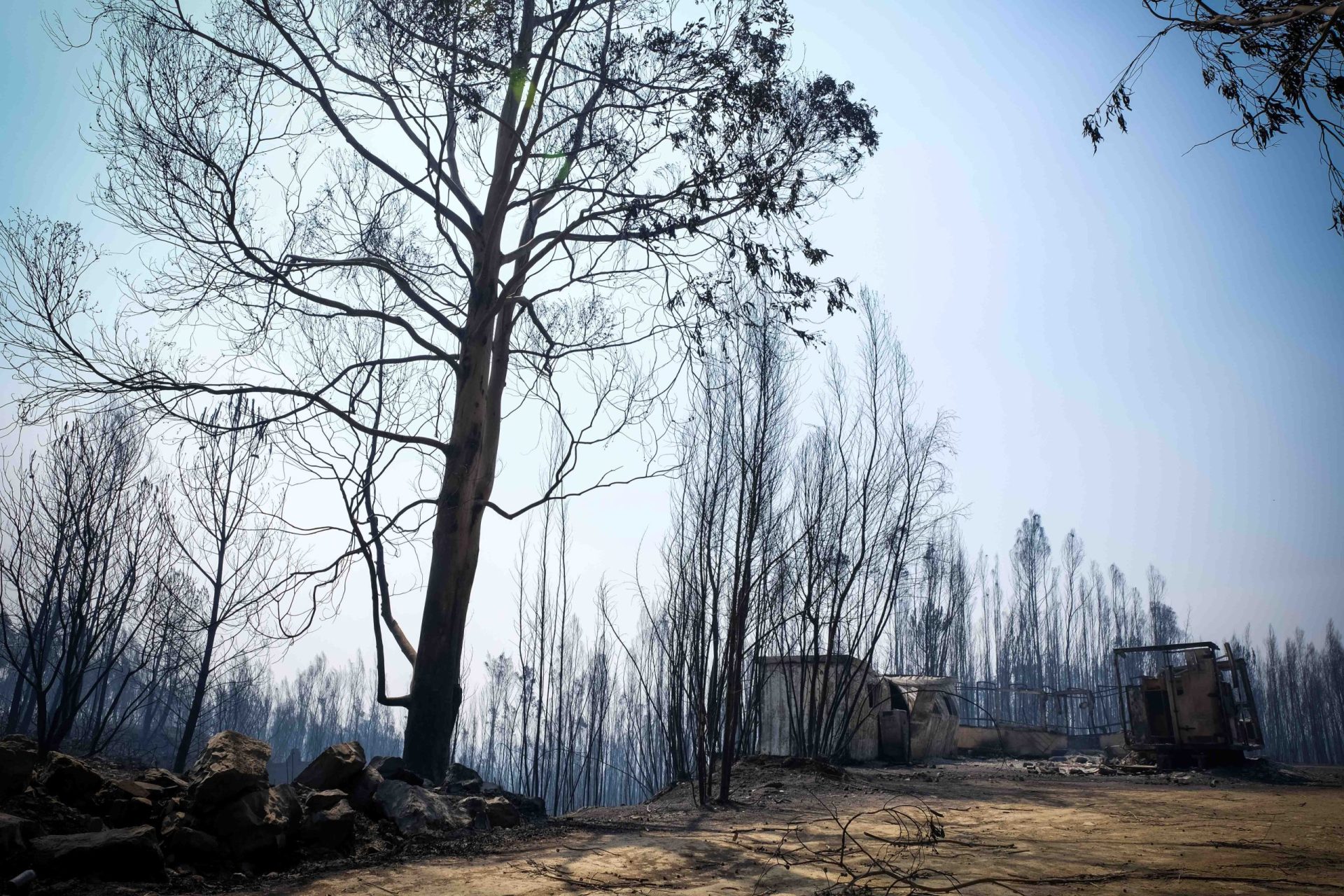 Artistas unem-se em concerto solidário em homenagem a vítimas de incêndio