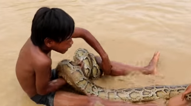 Dois irmãos encontram cobra gigante e o desfecho é surpreendente