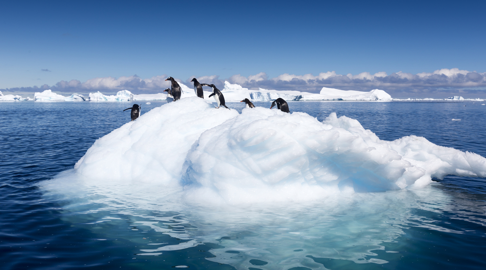 Sete coisas que todos têm de saber sobre alterações climáticas