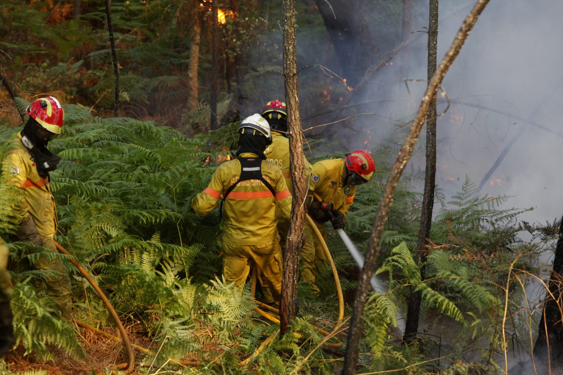 Incêndio de Pedrógão alertou espanhóis, franceses e italianos