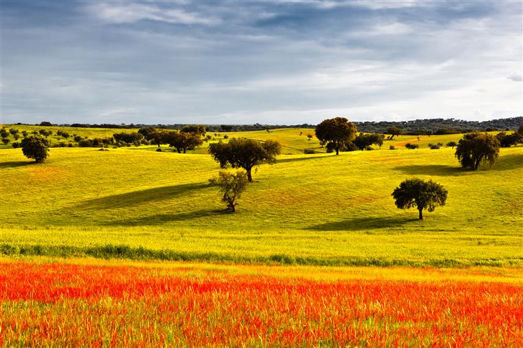 Alentejo entre as regiões preferidas dos europeus