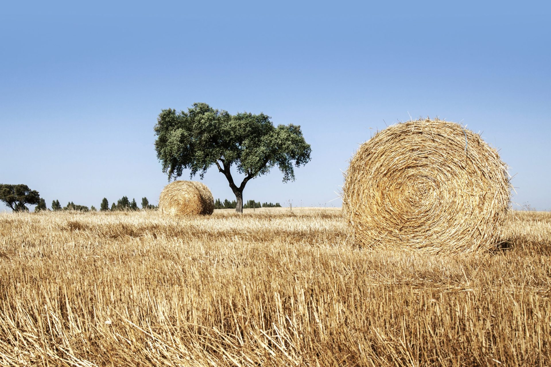 Revista internacional explica por que todos devem visitar o Alentejo