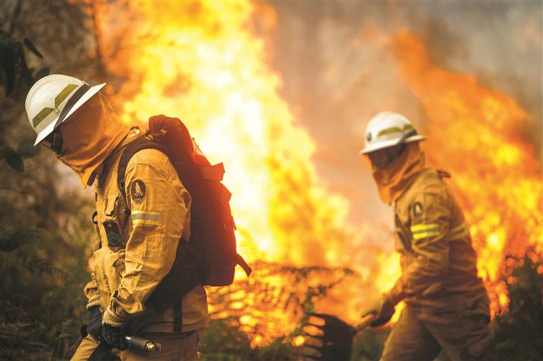 Incêndio em Mação. Várias aldeias evacuadas