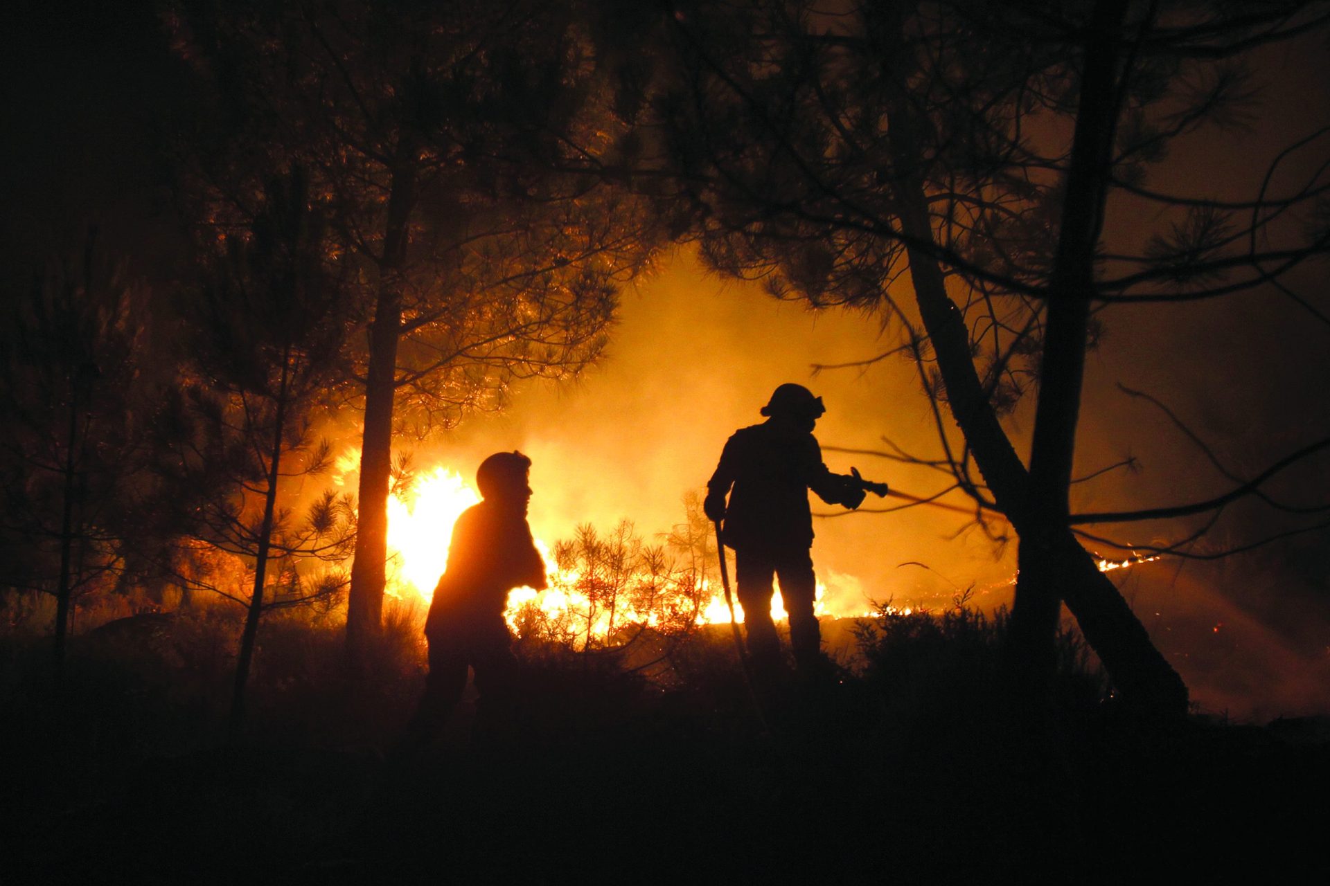 PJ detém mulher suspeita de deflagrar incêndio em Castelo Branco