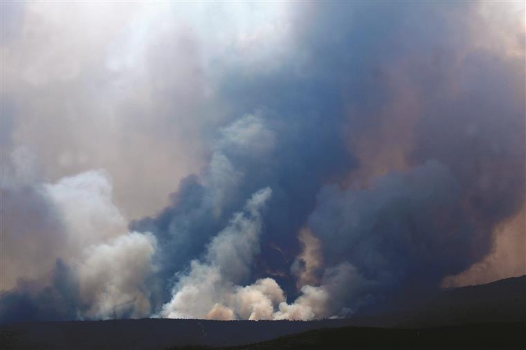 Incêndios na Sertã, Mação e Proença-a-Nova dominados