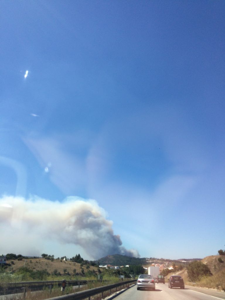 Incêndio na Mealhada obriga ao corte da A1 nos dois sentidos