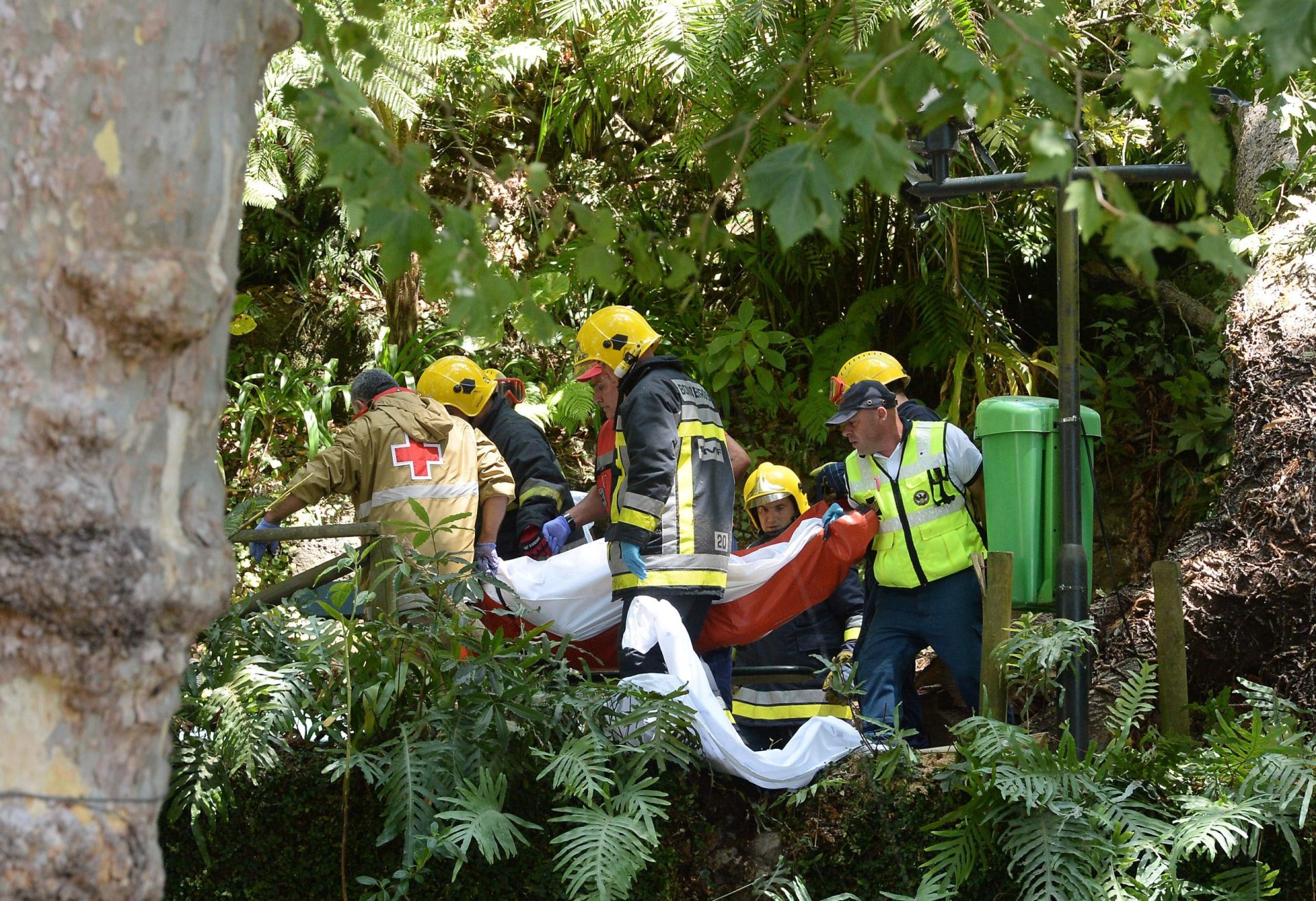 Queda de árvore na Madeira. Governo Regional confirma 13 mortes e 49 feridos