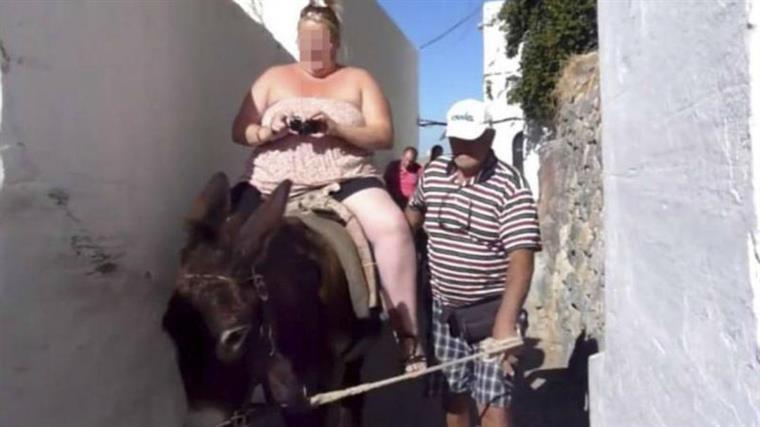 Turistas com excesso de peso proibidos de montar burros nas ilhas gregas | FOTO