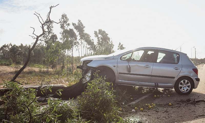 Tempestade Leslie registou ventos que chegaram aos 190km/h