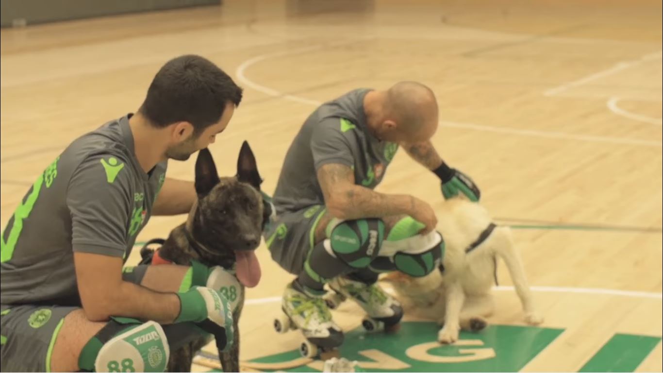 Os novos ‘membros’ da equipa do Sporting “não marcam golos” | Vídeo