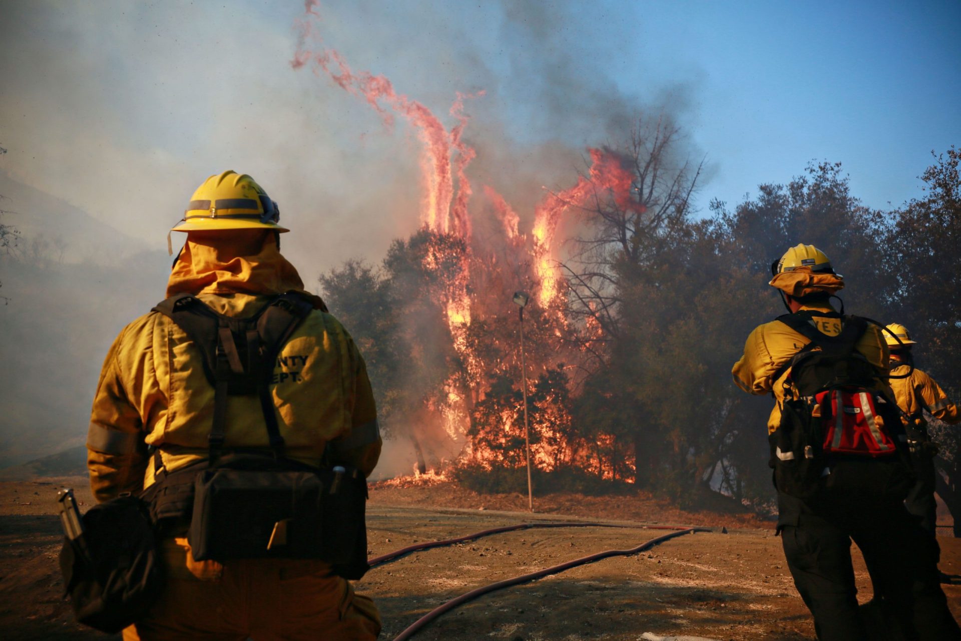 As imagens dos incêndios na Califórnia | Fotogaleria