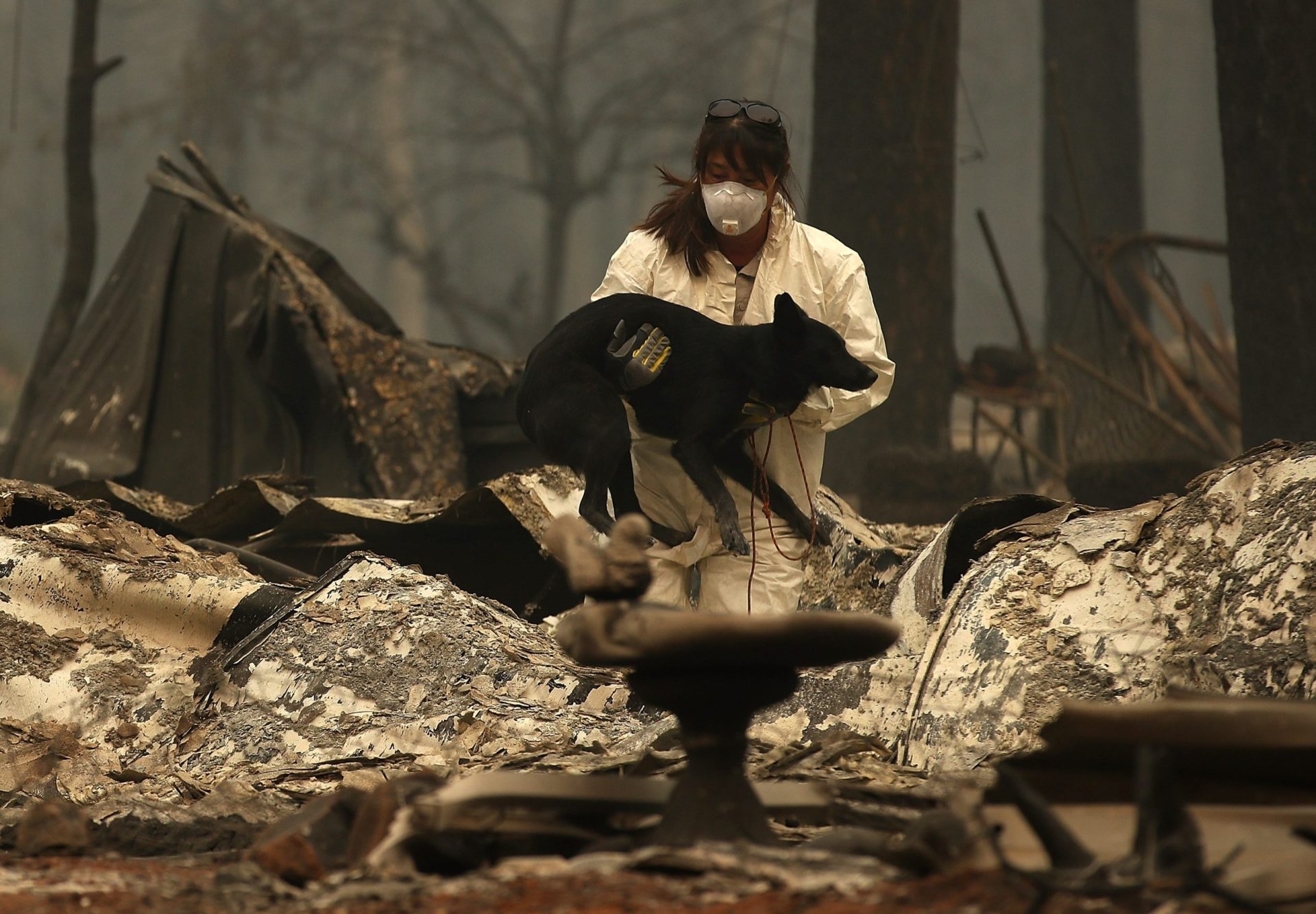 Califórnia. Sobe para 56 o número de vítimas mortais em incêndio em Paradise