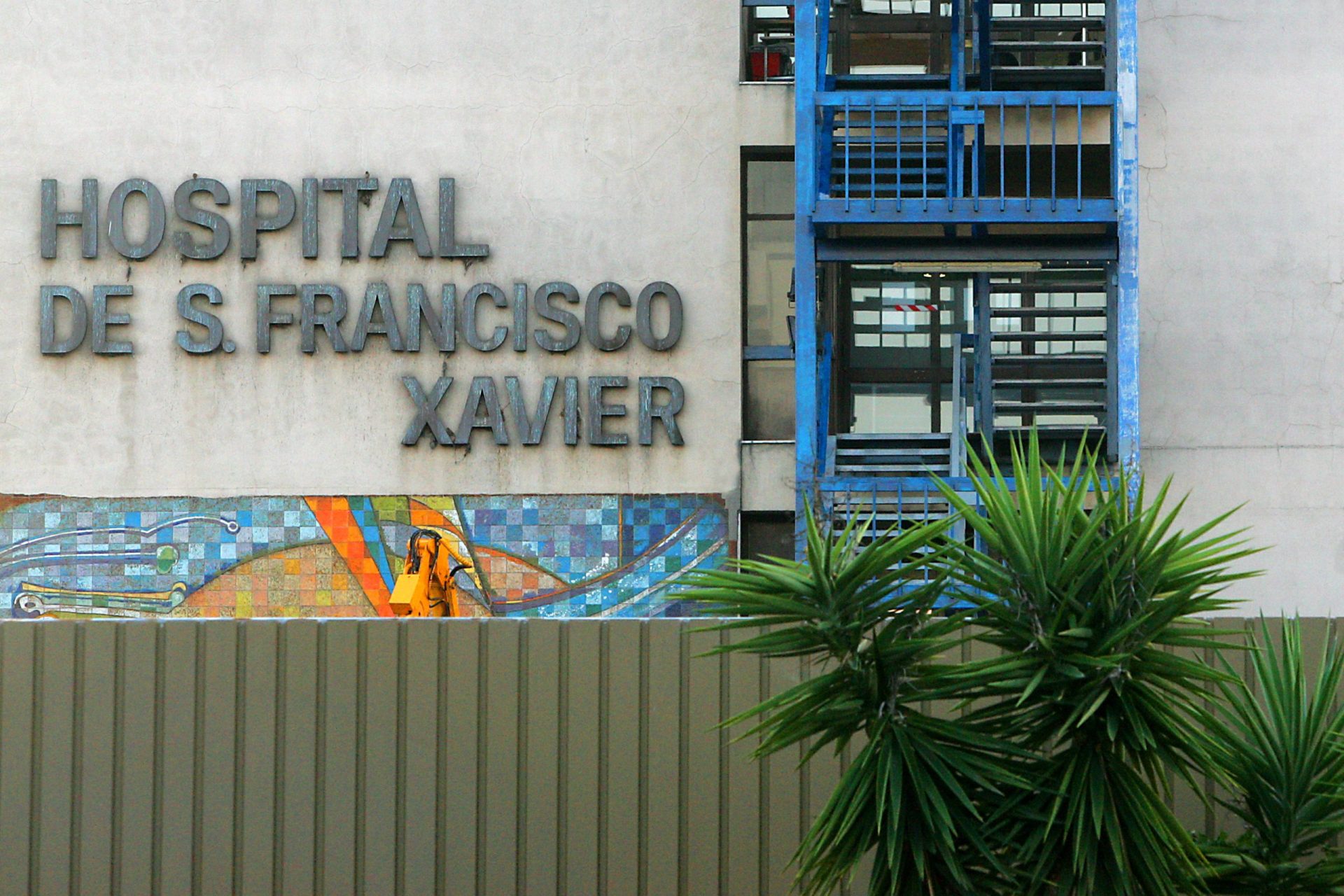 Lisboa. Surto de sarna no hospital São Francisco Xavier