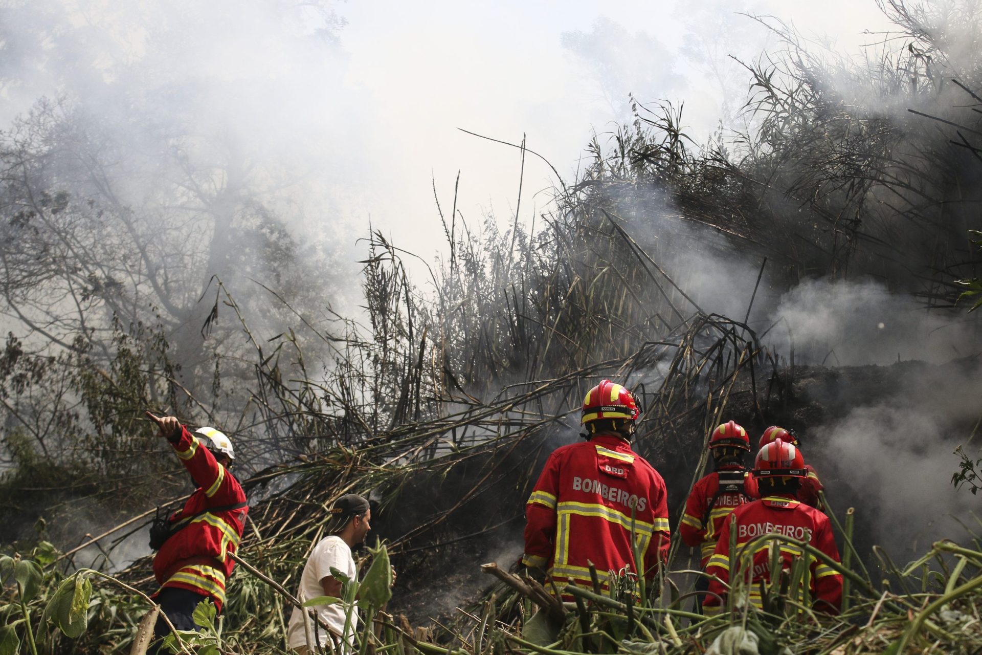 Proposta de complemento às pensões dos bombeiros feridos nos incêndios foi chumbada