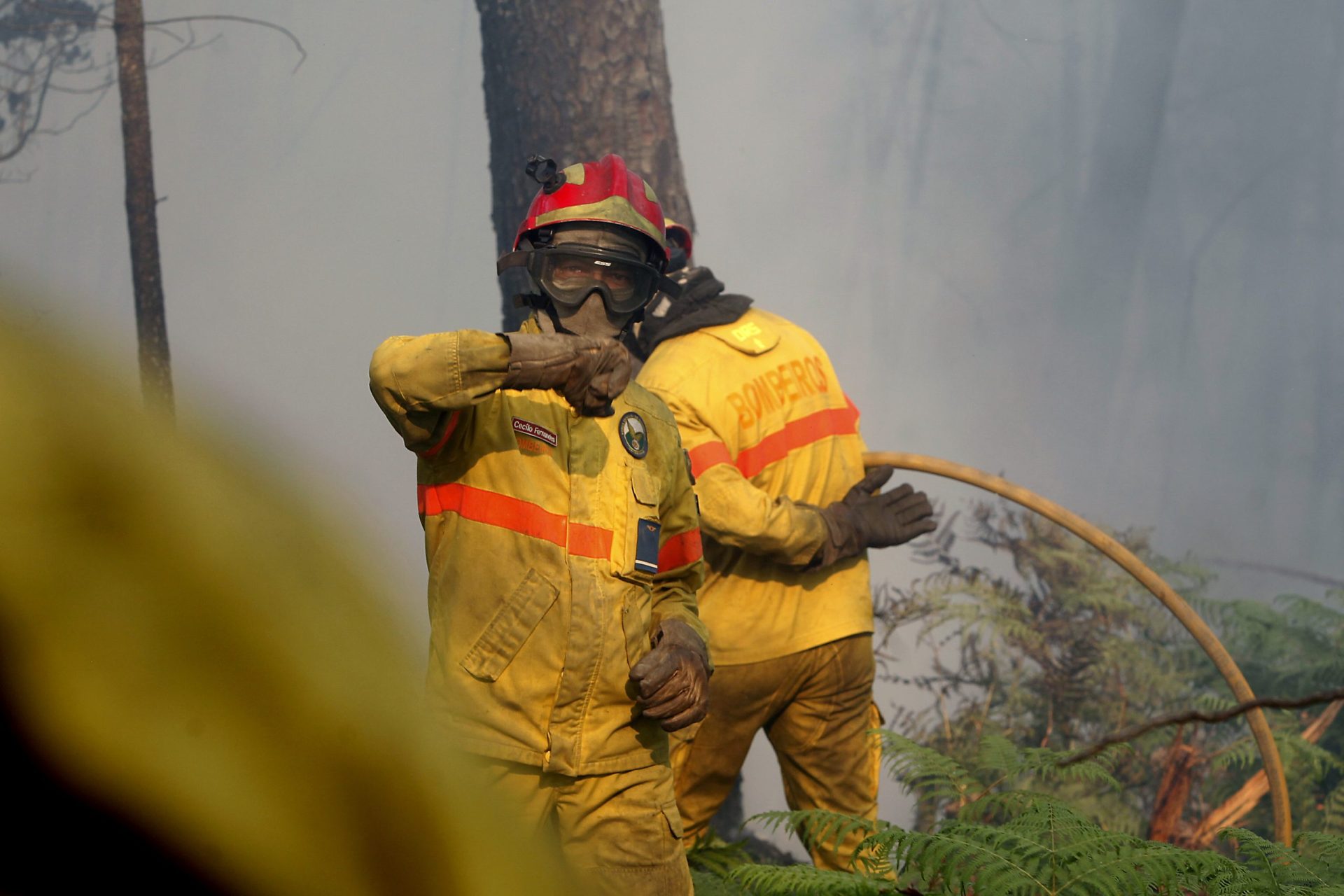 Vale de Cambra. Três meios aéreos e 37 bombeiros combateram incêndio florestal