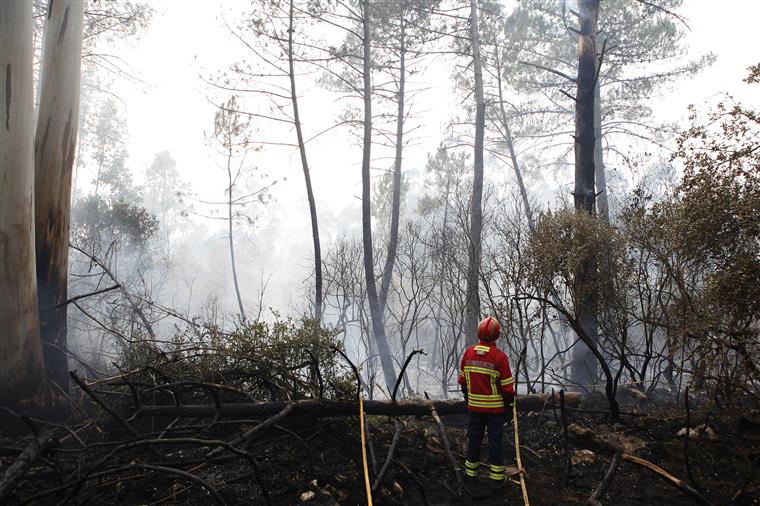 Altice investiu 20 milhões para repor ligações depois dos incêndios