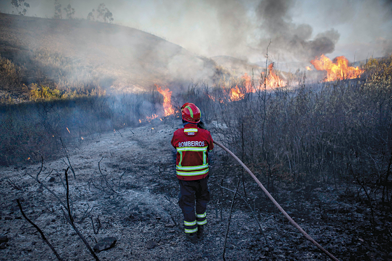 Incêndios. Câmaras têm até 31 de maio para estar tudo limpo