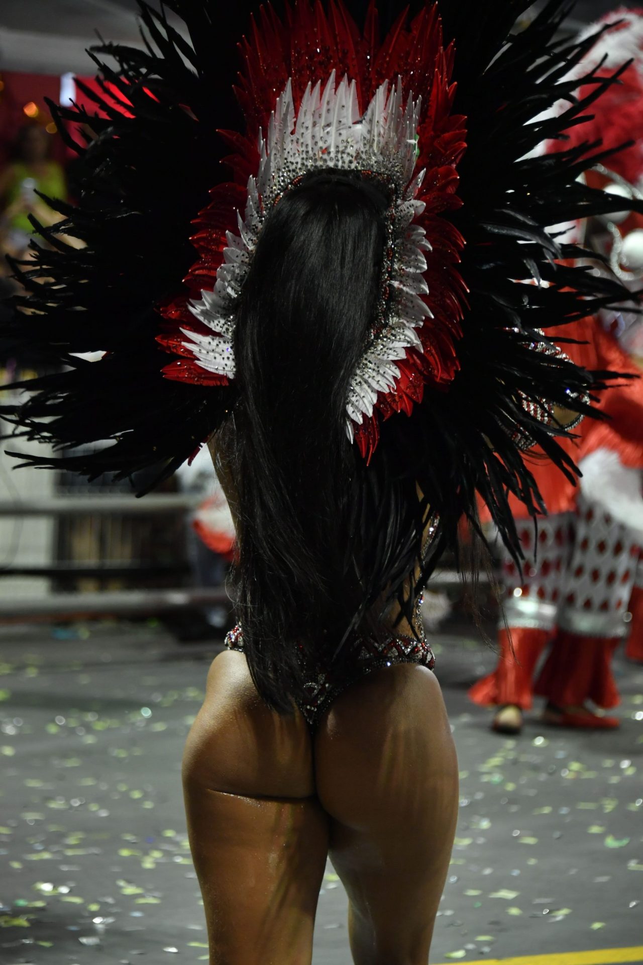 Fotogaleria: No Carnaval do Rio