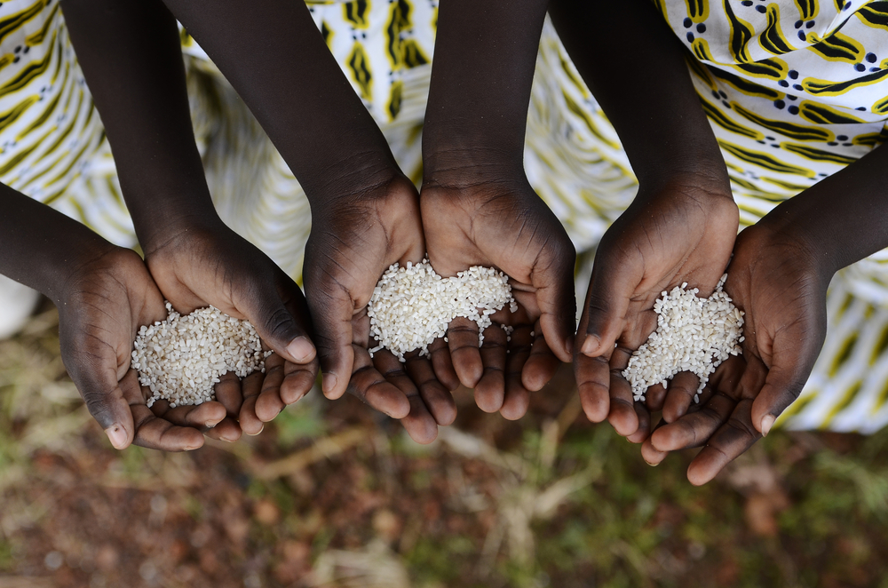 Mais de 220 milhões de pessoas subnutridas em África