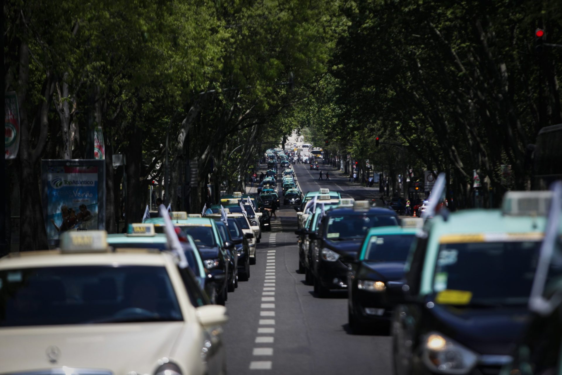 A avenida que nasceu para ser moderna