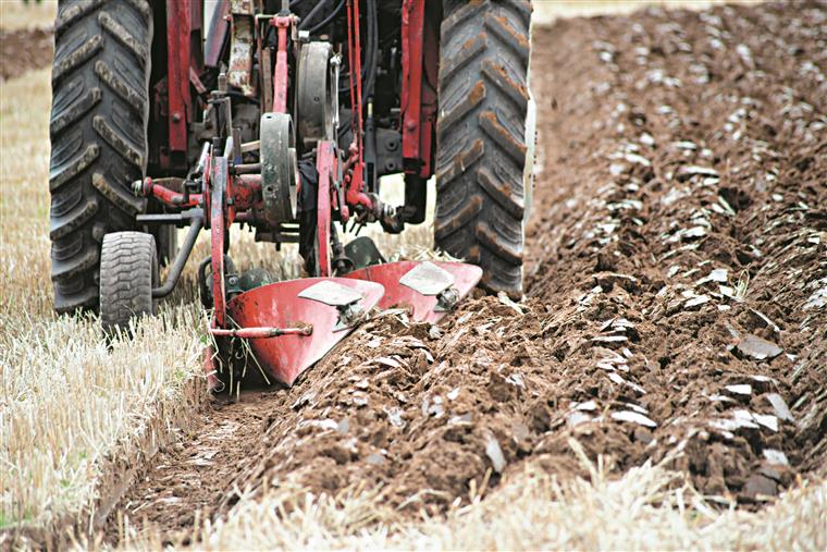 ONU declara região de Barroso como património agrícola mundial