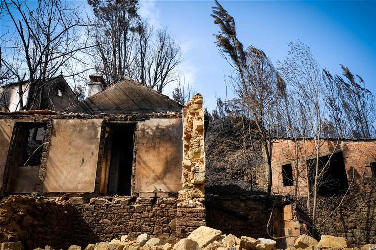 Incêndios. Provedora de Justiça recebeu até hoje 121 pedidos de indemnização de feridos graves