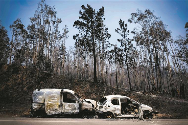 Três dias de greve marcados pelos guardas florestais