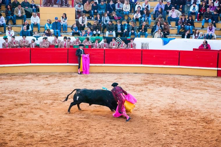 Aprovado o fim de touradas no concelho de Póvoa de Varzim