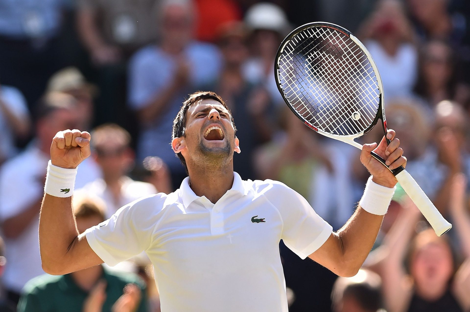 Djokovic conquista torneio de Wimbledon pela quarta vez