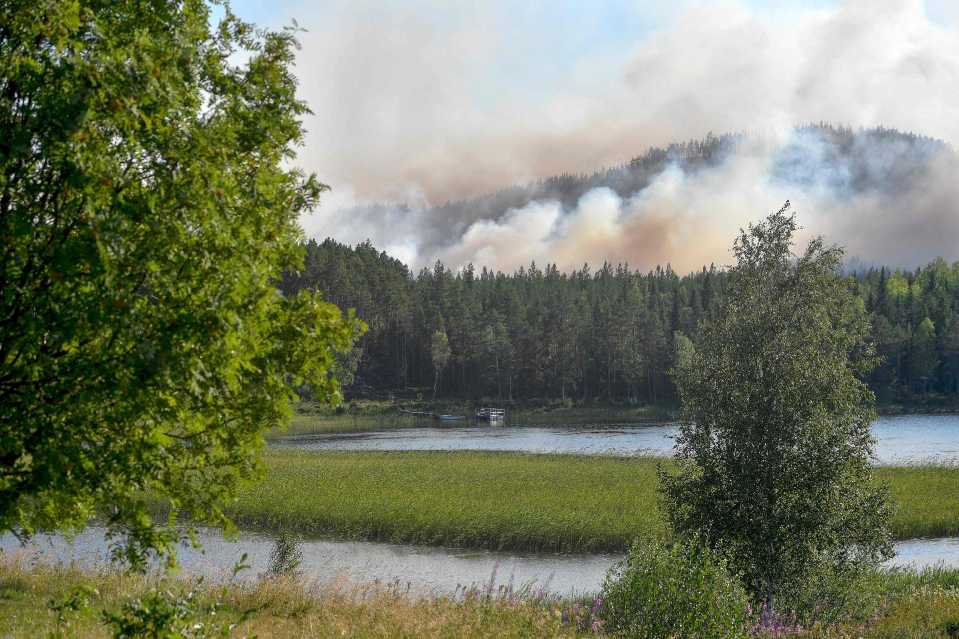 Suécia. Incêndios começam a chegar ao Circulo Polar Ártico